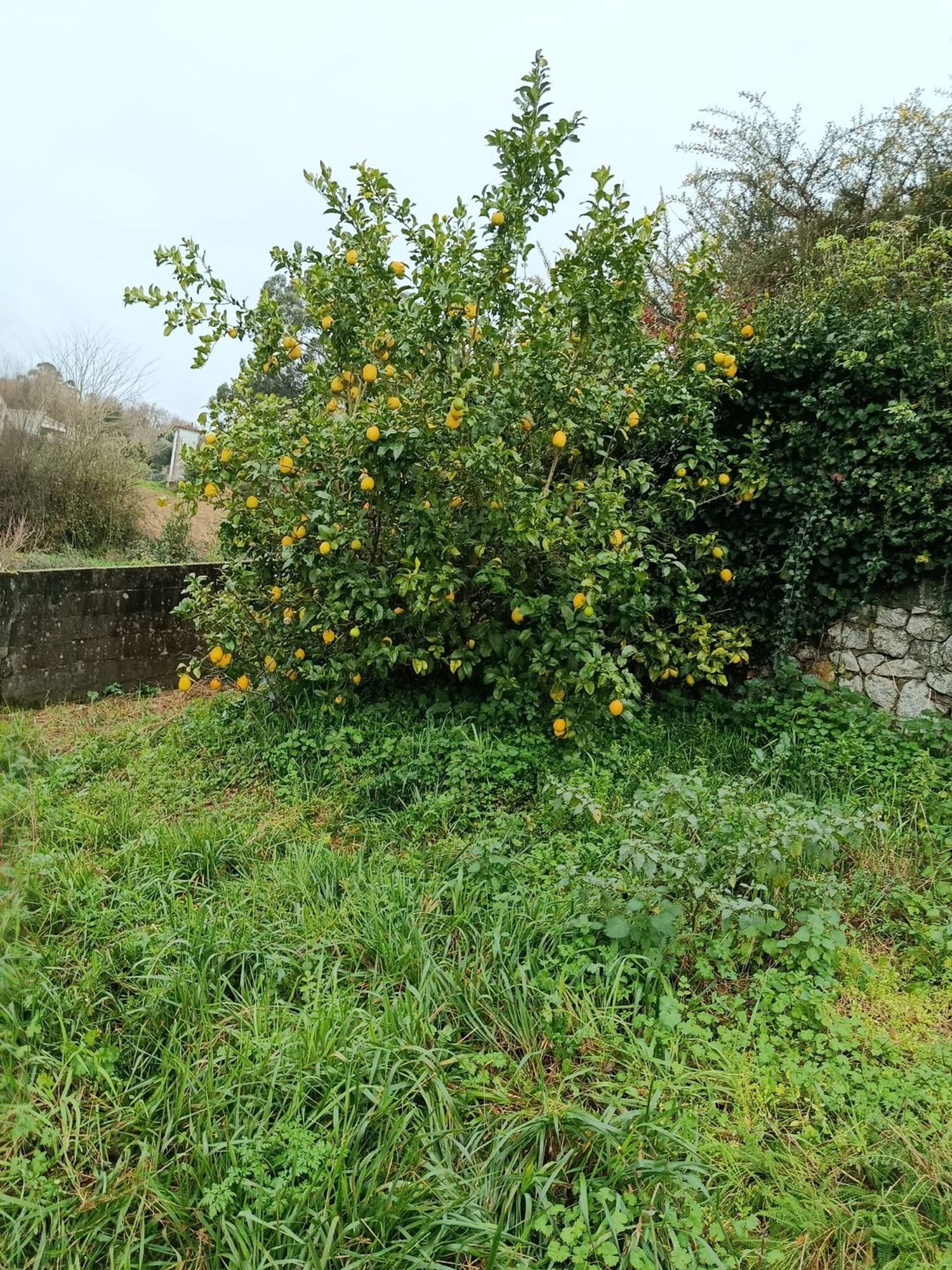 Casa independiente en calle Menciñeiros, 9 - Foto 34