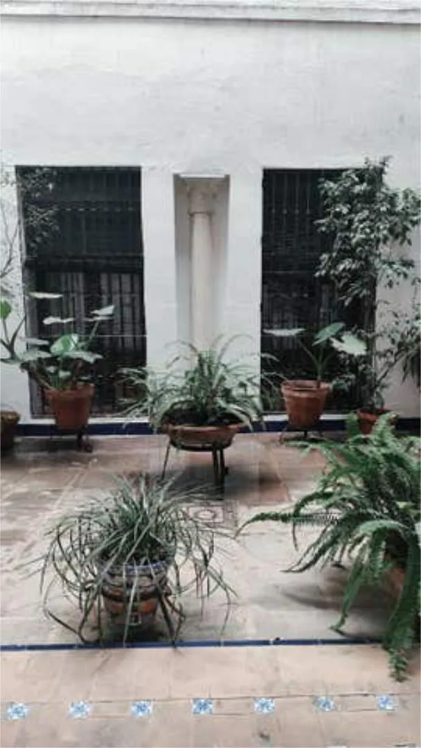 Apartamento en Centro - Foto 2