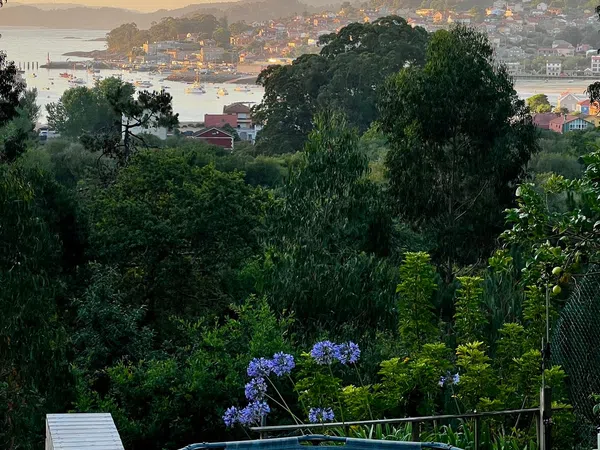 Casa o chalet independiente en Avenida da Unión, 57, O Hío, O Hío - Foto 8
