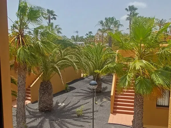 Piso en Calle Pedro y Guy Vandaele, 19, Corralejo, Corralejo - Foto 14