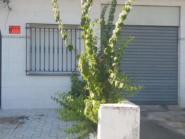 Casa o chalet independiente en Avenida de Granada, 77 vajo - Foto 1