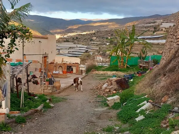 Cortijo en Cortijo en cercado, 22 - Foto 4