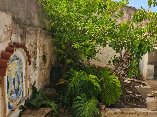 Casa de pueblo en Calle dels Bous, 127 - Foto 3