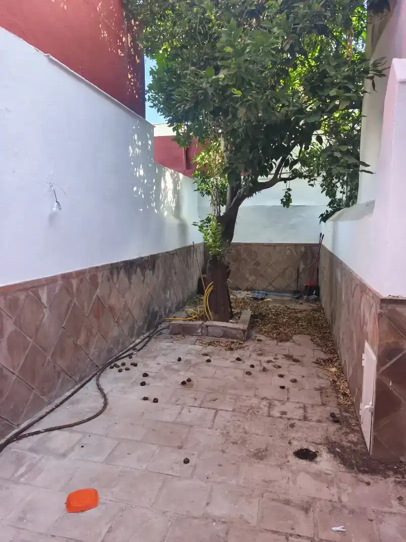 Planta baja en  Calle Corredera 3 - Foto 4