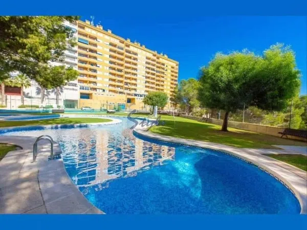 Estudio en Calle Altos Campoamor, 11, Campoamor - Foto 20