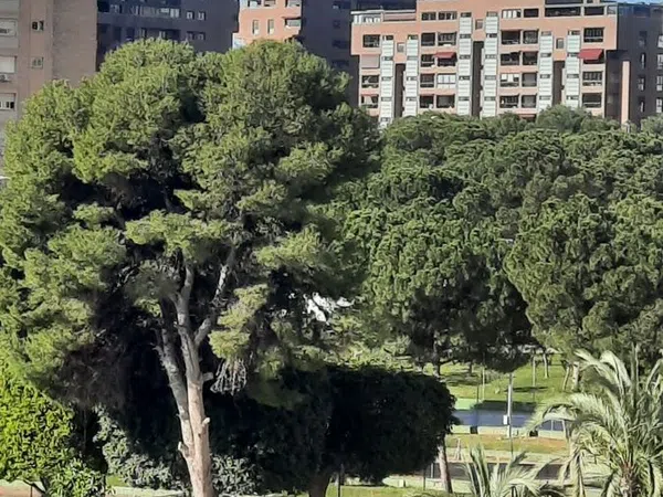 Piso en avenida Benidorm, 18 - Foto 16