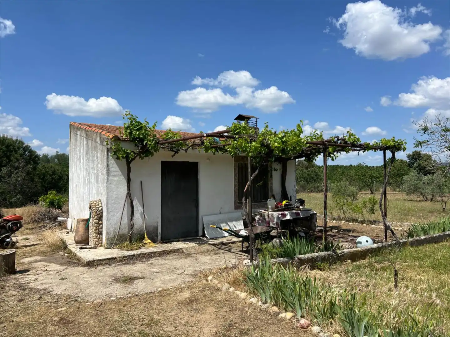 Finca rústica en  Calle Perdiz 84 - Foto 13