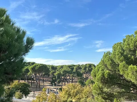 Ático en avenida de Portugal, 39