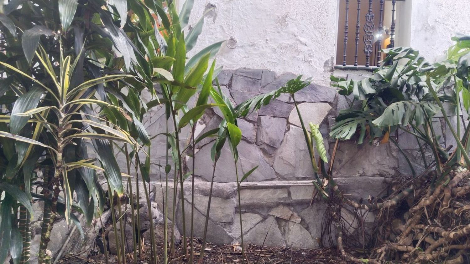 Finca rústica en Carretera Enlace el Ramal, 18 L, Centro, Centro - Foto 8