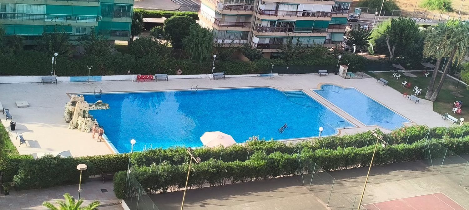 Piso en Calle Esportista Juan Matos, 1, La Albufereta - Foto 12
