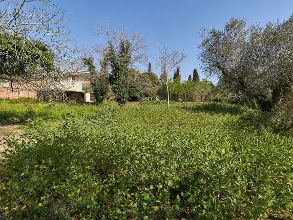 Casa rural en Avenida Catalunya, 20 - Foto 7