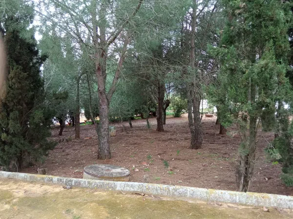 Finca rústica en Callejón del Antiguo Almacén (Prior), 1 - Foto 15