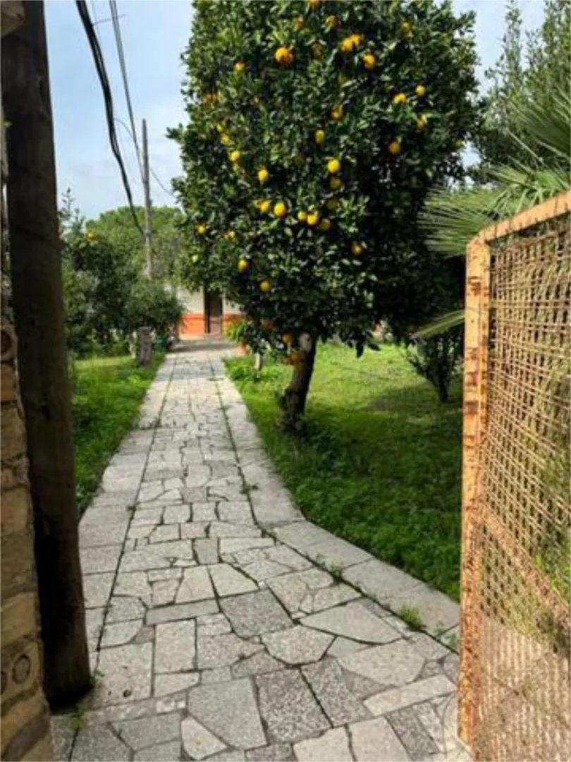 Chalet en Aeropuerto Viejo - Foto 4