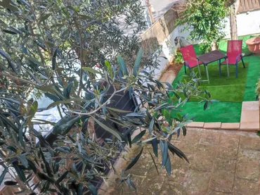 Planta baja en  Carrer Font Obrador 29 - Foto 12