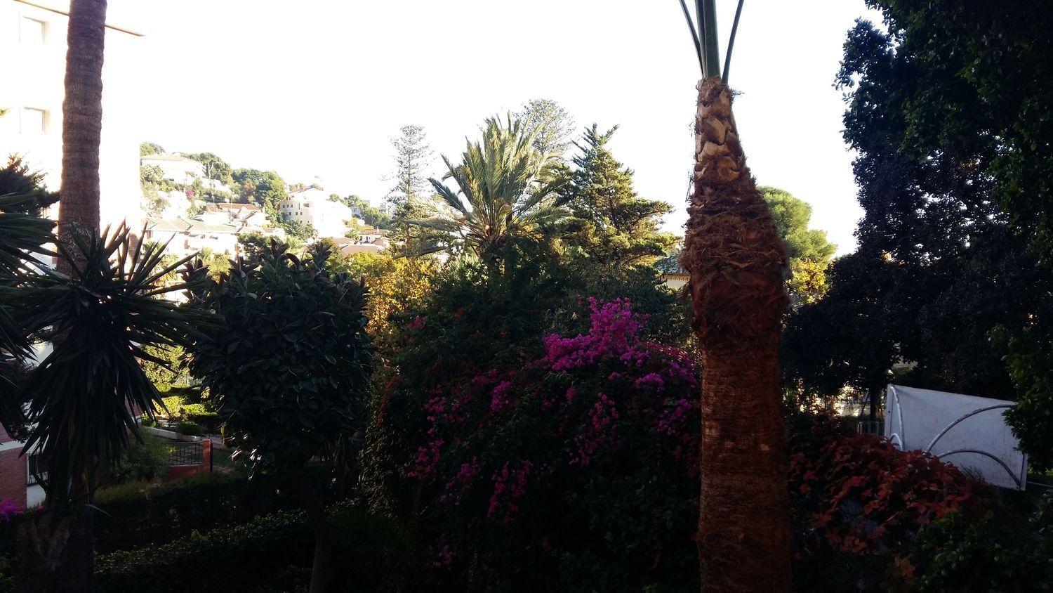 Piso en calle República Argentina, 29 - Foto 28