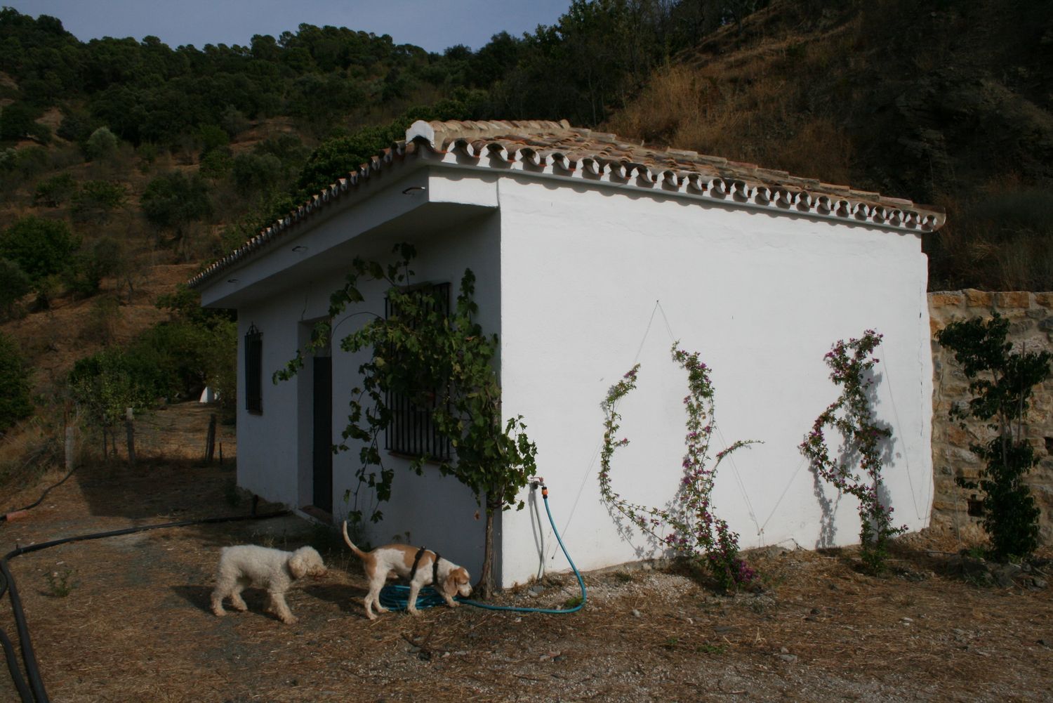 Finca rústica en Ma-8301 s/n - Foto 26