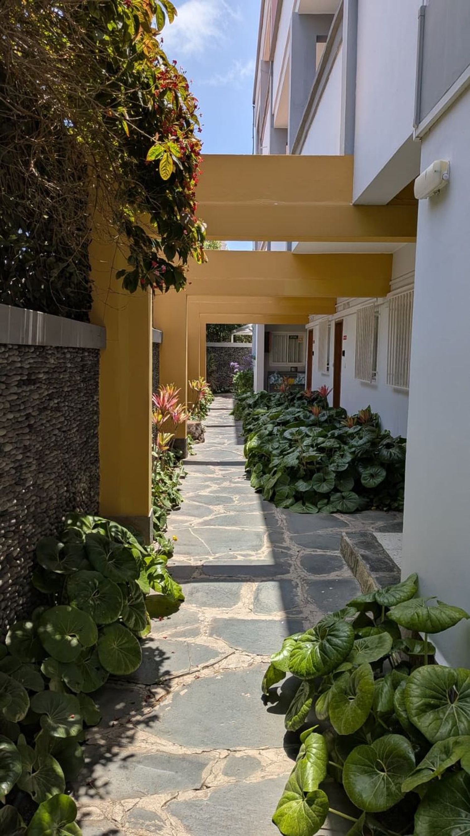 Piso en Calle Puccini, 6, Ciudad Jardín - Foto 8