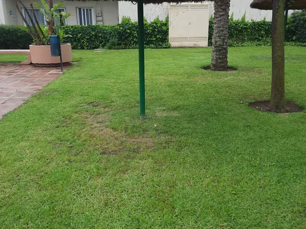 Piso en Avenida del Parque, 3 - Foto 11