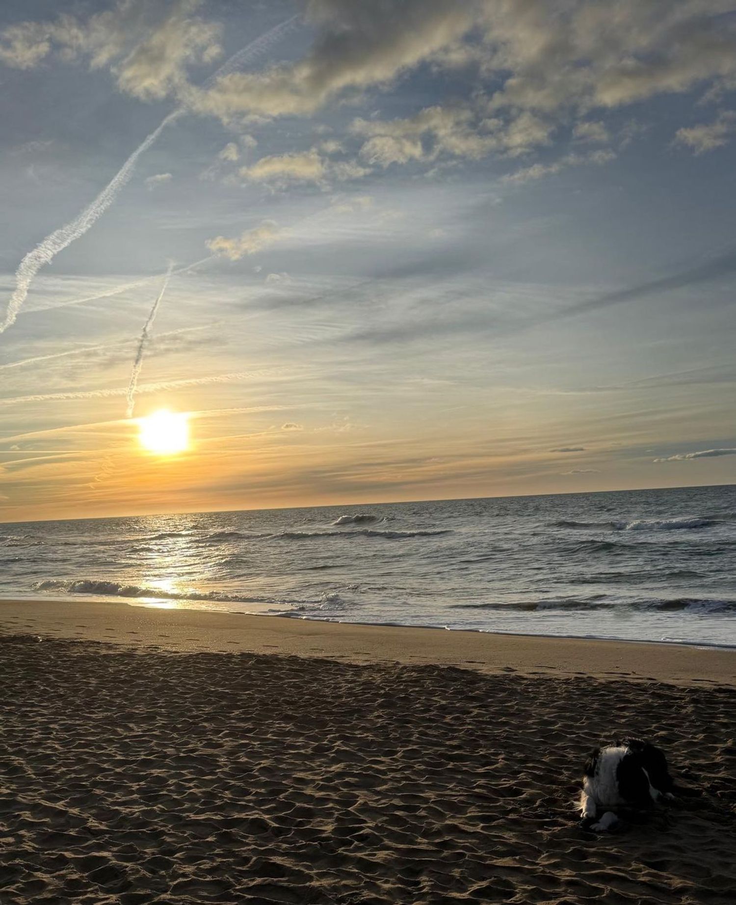 Piso en calle dels Tellinaires, 18 - Foto 18