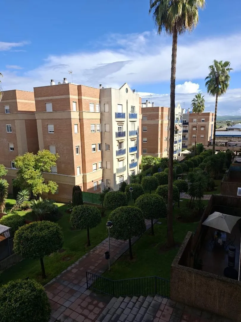 Piso en  Calle Ingeniero Juan A. Vigueras González 8 - Foto 11