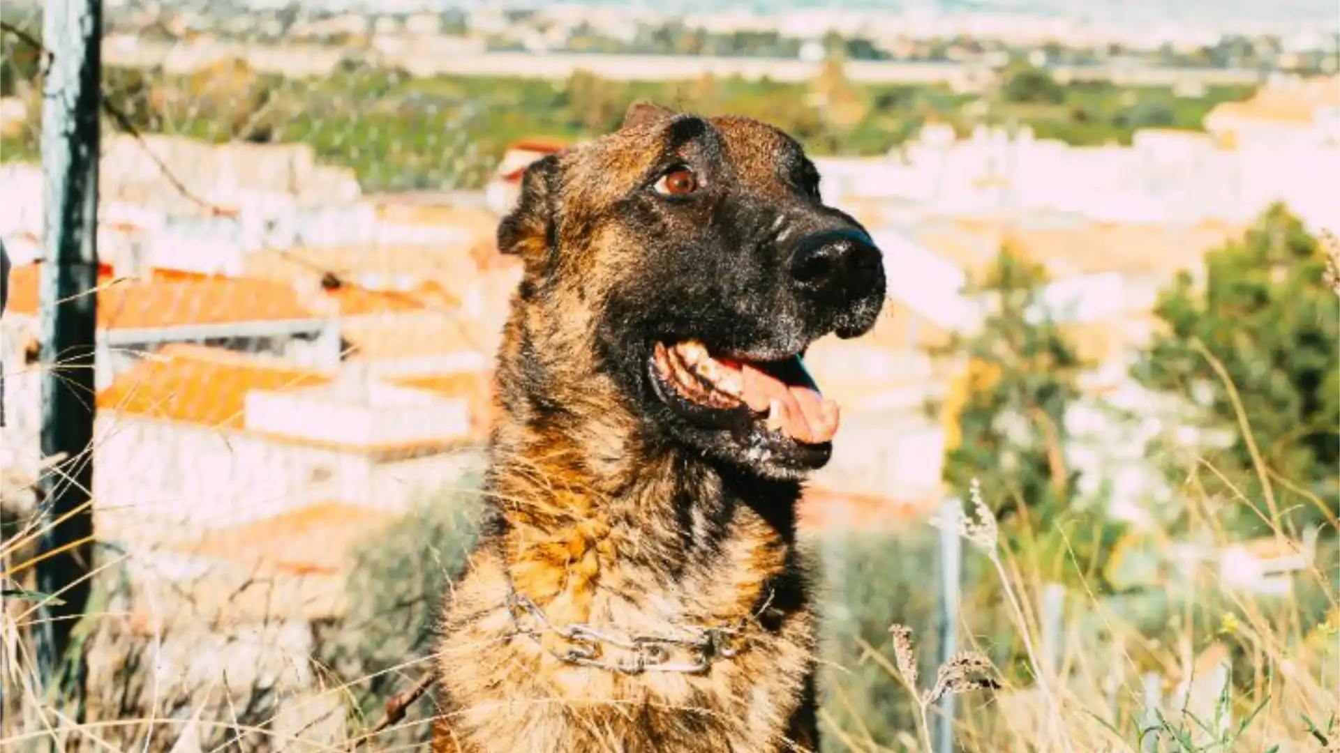 Casa adosada en  Calle Gran Vía 51 - Foto 39