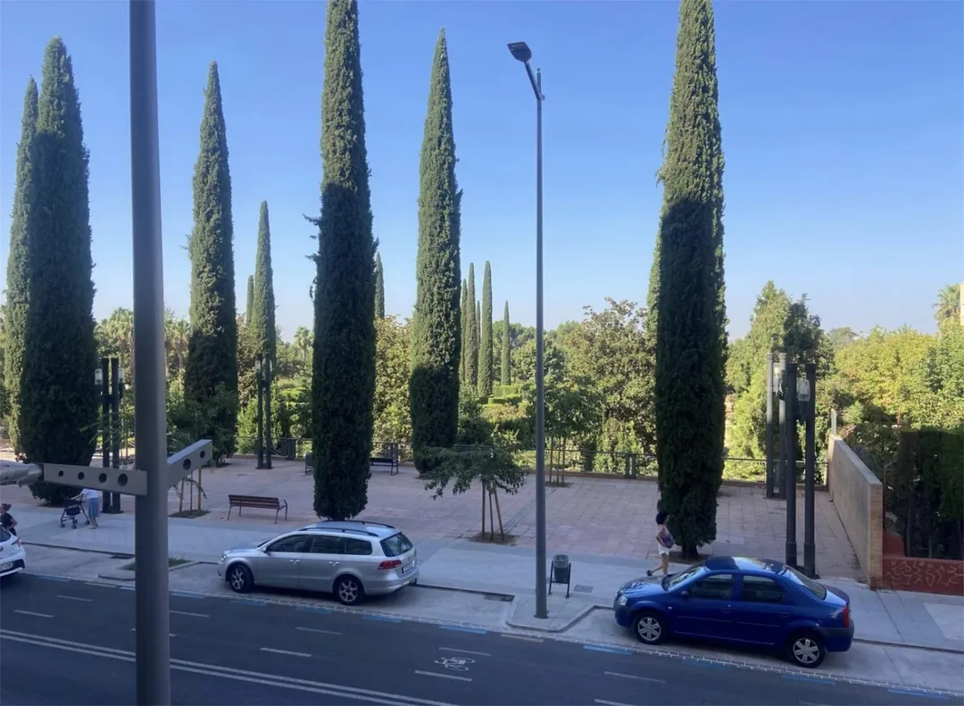 Piso en  Arabial 50 - Foto 17