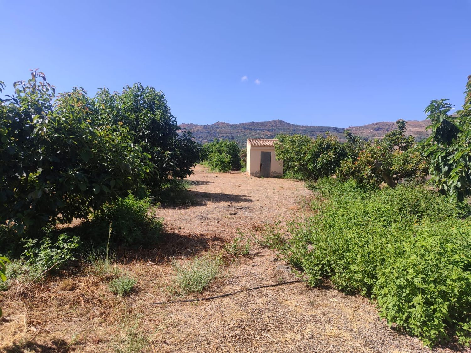 Cortijo en Cortijo en Camino de Río Seco, 36, El Rescate - Río Seco, El Rescate - Río Seco - Foto 22