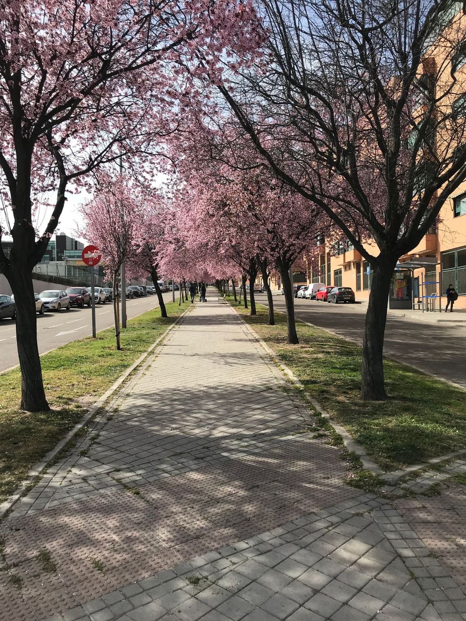 Piso en avenida de los Prunos, 15 - Foto 20
