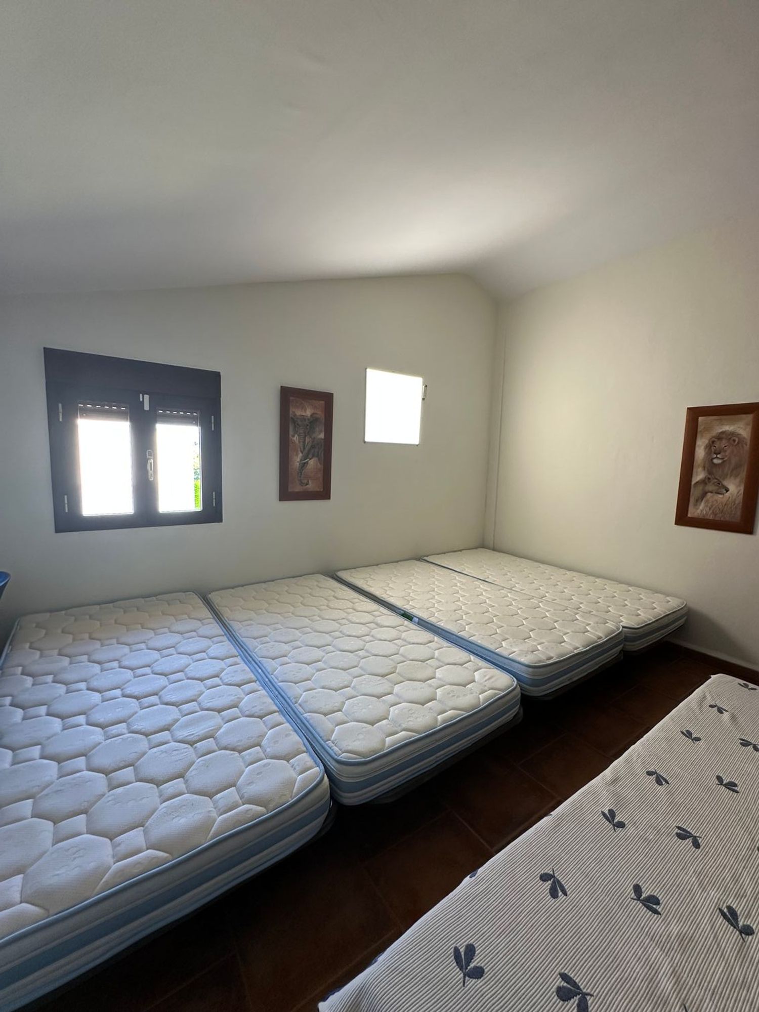 Casa o chalet independiente en Avenida de Antoñico Rosa, 99 - Foto 11