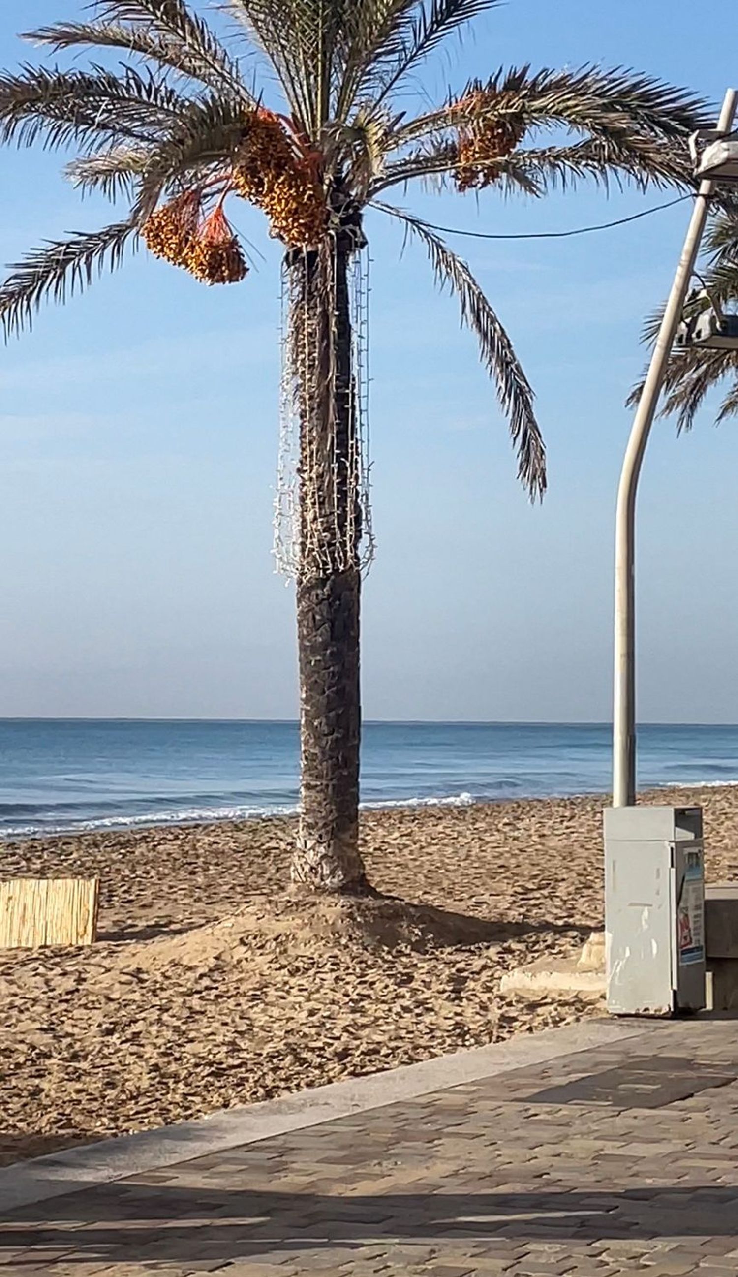 Piso en avenida Mossèn Jaume Soler, 14 - Foto 15