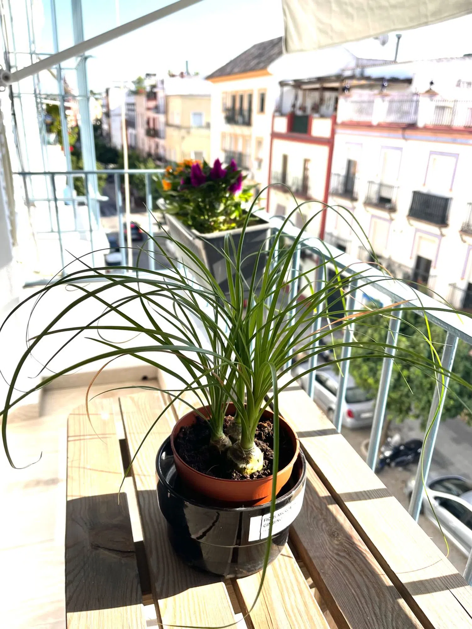 Piso en calle Castilla, 82 - Foto 3