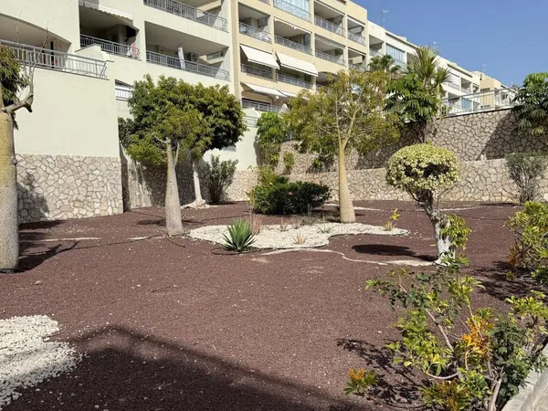 Piso en Avenida de El Palm-Mar, 42, Palm Mar, Palm Mar - Foto 12