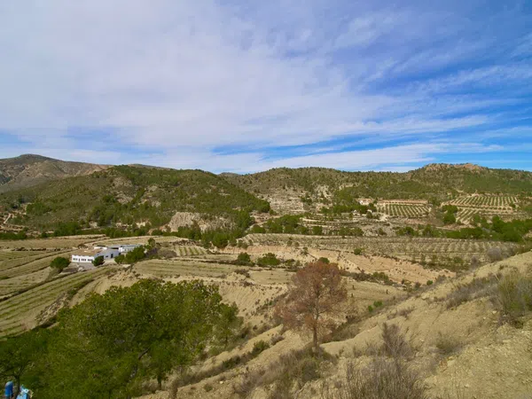 Casa independiente en Partida Almadrava, 1 - Foto 23
