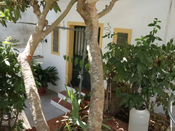 Chalet pareado en carretera Cc-431 s/n - Foto 22