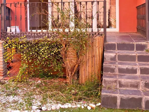 Chalet pareado en Calle Pintor Martínez Cubells s/n, Pedregalejo - Morlaco - Foto 75
