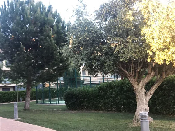 Chalet adosado en Avenida Castellón, 4 - Foto 32
