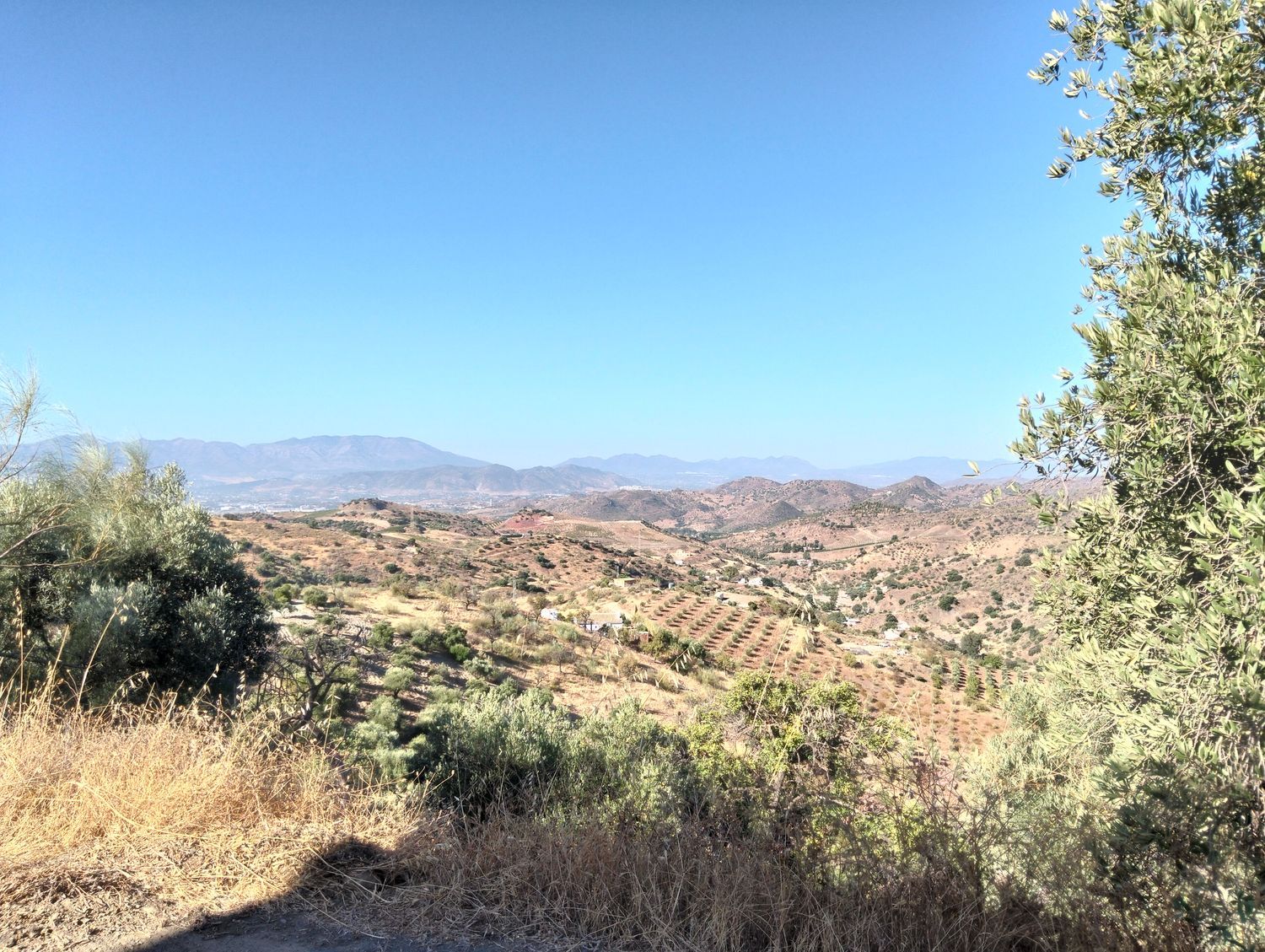 Finca rústica en Camino Los Nuñez, 1 - Foto 3