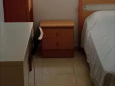 Piso en Vialia - Foto 8
