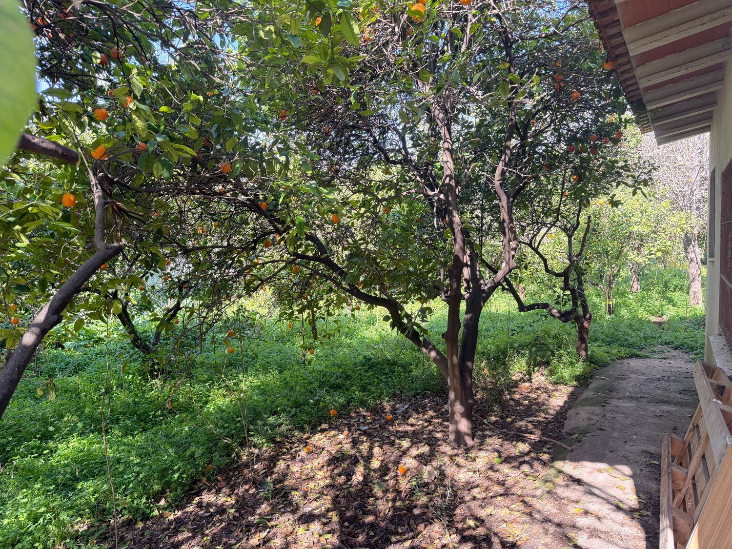Chalet pareado en Carril de los Burros, 9 - Foto 6