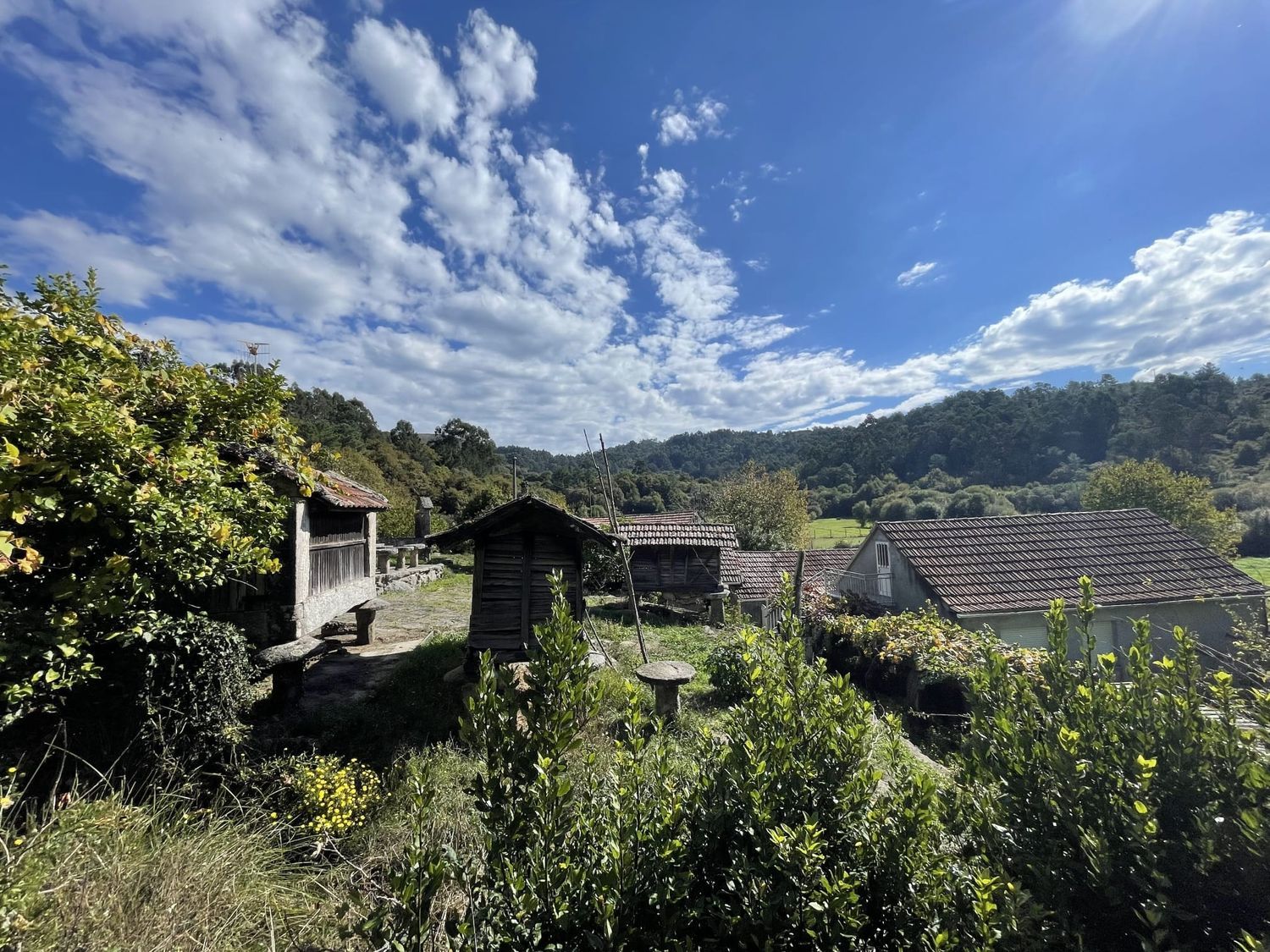 Finca rústica en Poulo s/n - Foto 18