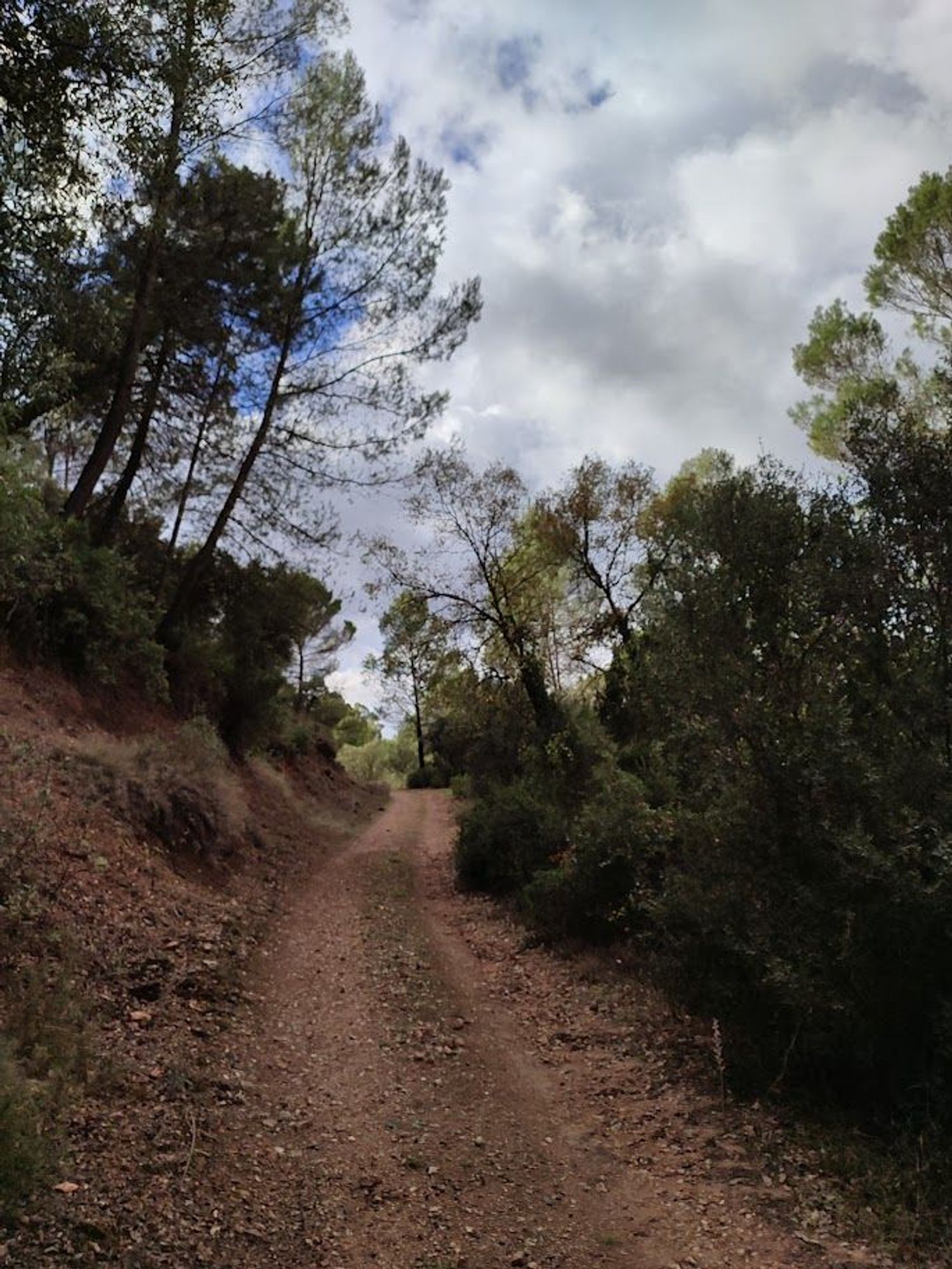 Cortijo en Carretera a Cortijos Nuevos s/n - Foto 2