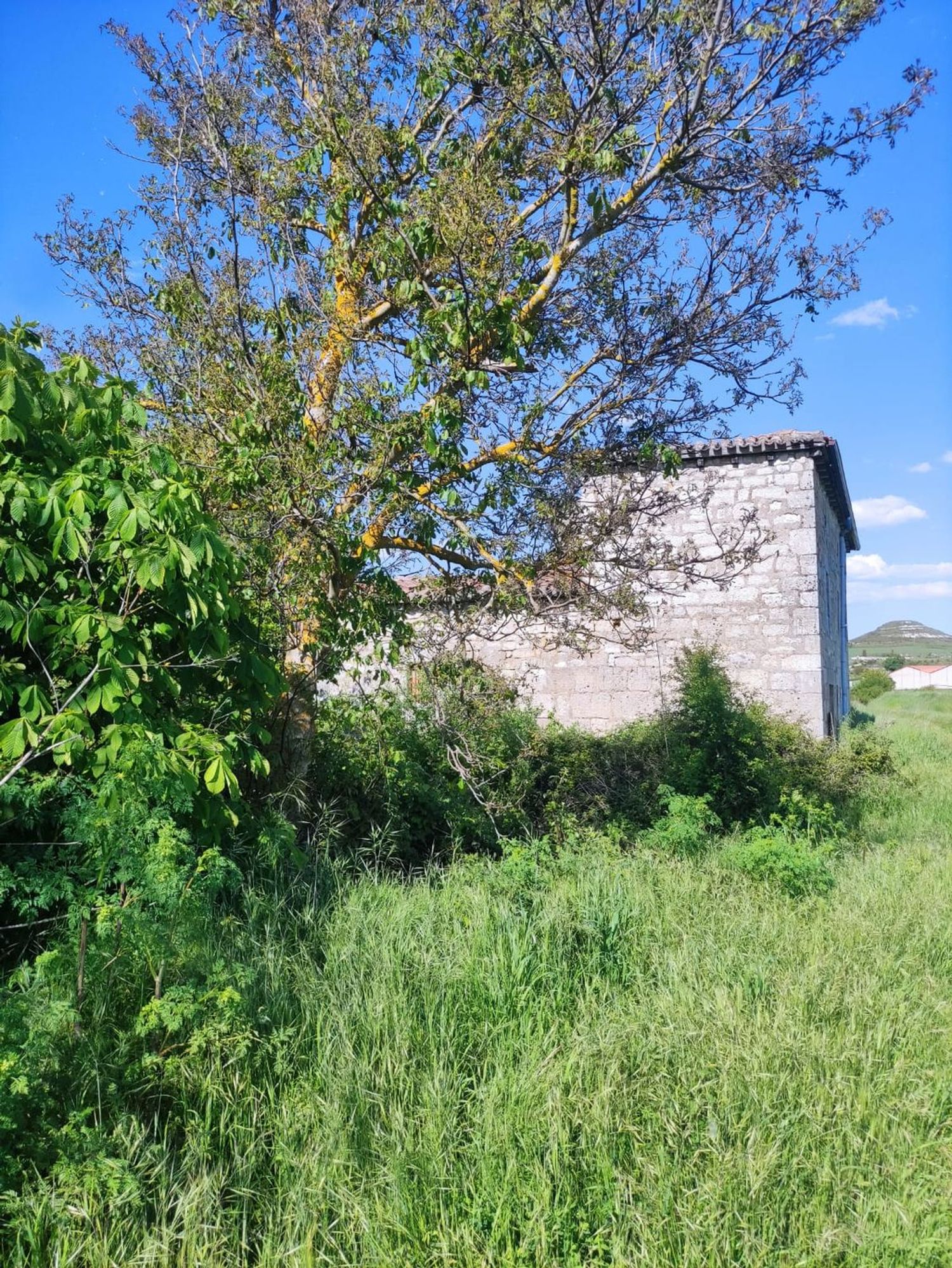 Casa rural en Calle de la Torre, 45 - Foto 13