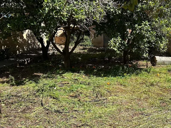 Casa o chalet independiente en Plaça de Toros - Foto 6