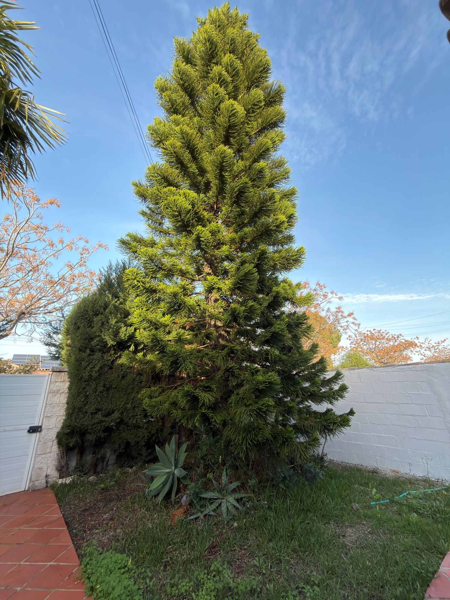Casa independiente en calle Gran vía los Gallos, 114 - Foto 3