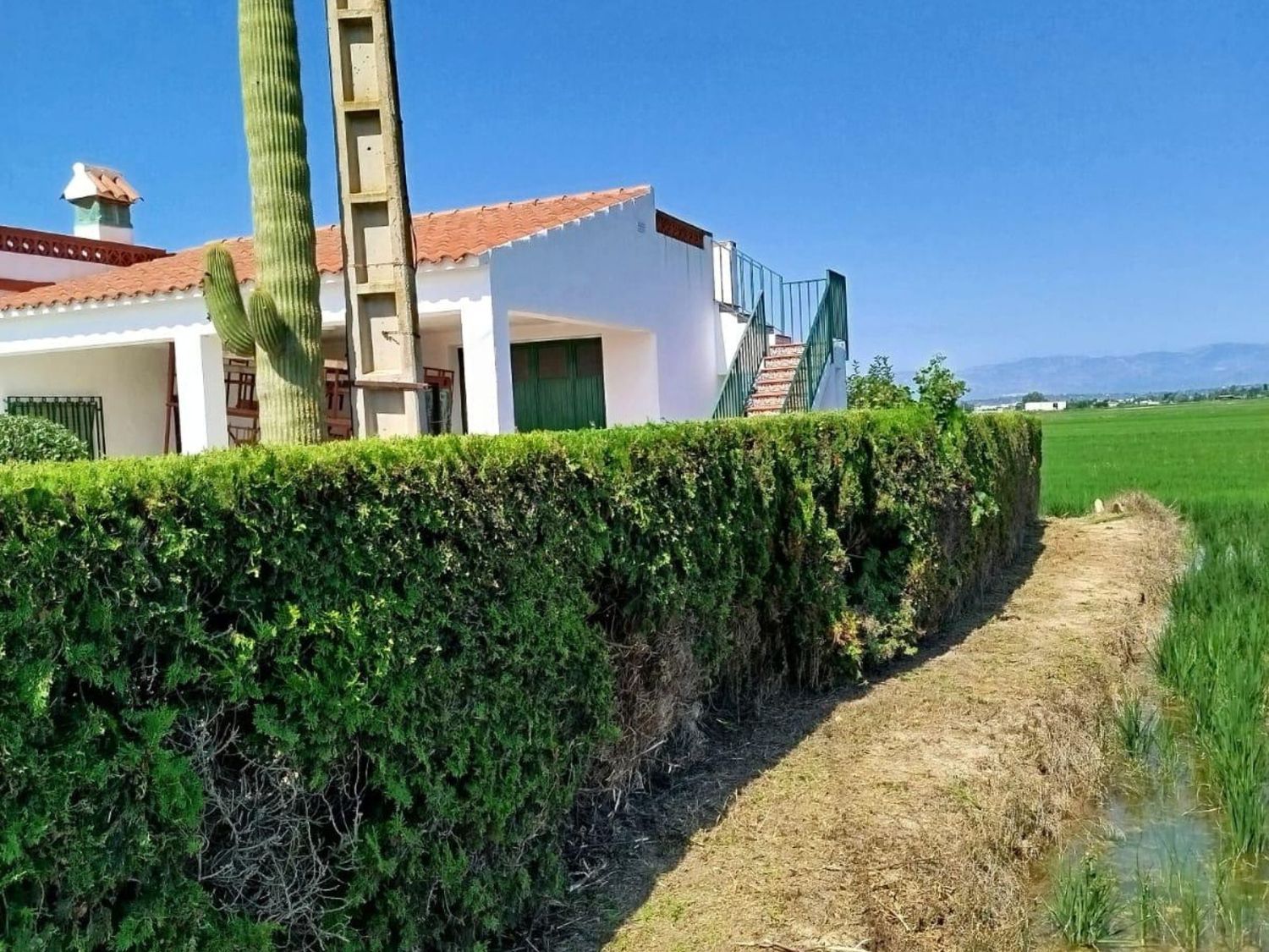 Casa o chalet independiente en Camino de la Casota, 10 - Foto 5