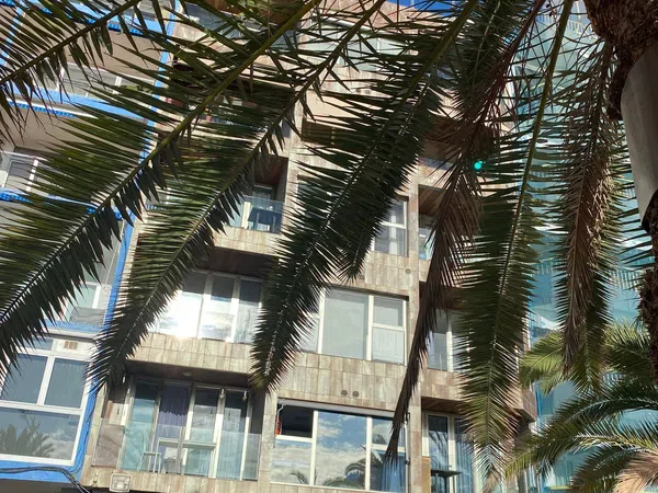 Estudio en Calle Sagasta, 90, Santa Catalina - Canteras - Foto 4