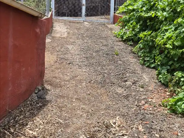 Planta baja en  Camino Lomo Rivero 13 - Foto 28