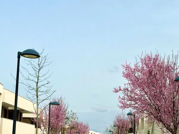 Chalet adosado en avenida de la Armada Española, 13 - Foto 2