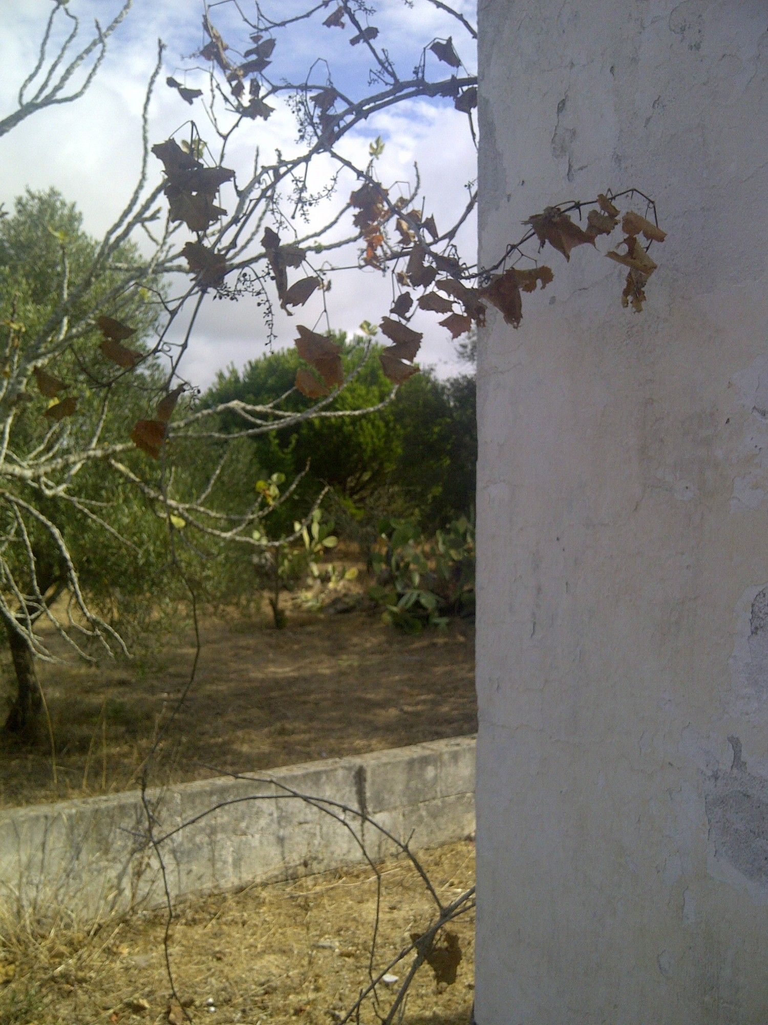 Casa independiente en camino de Melilla s/n - Foto 24