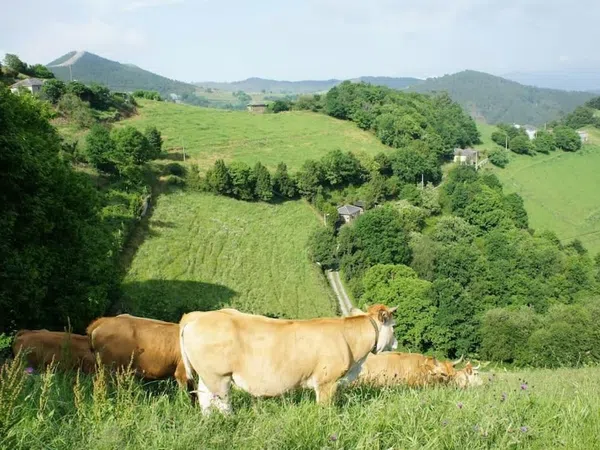 Casa rural en Busindre s/n s/n - Foto 24